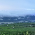 Wachau Panorama